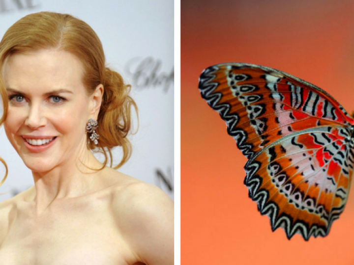 nicole-kidman-fobia