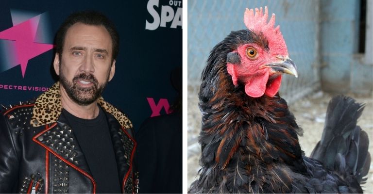 nicolas-cage-curiosidades